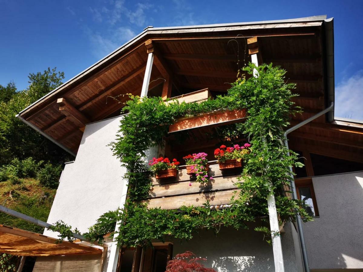 Bed and Breakfast Minavill La Casa Sulle Dolomiti à Fiera Di Primiero Extérieur photo